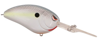 0001_Spro_Little_John_DD_60__[Nasty_shad].jpg